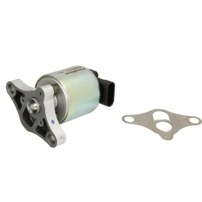 Afbeelding van Wahler EGR klep 710961D