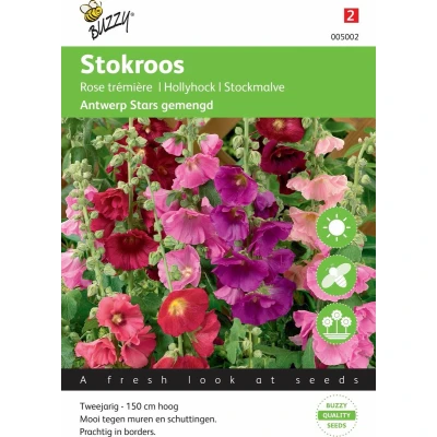 Afbeelding van Althaea (Alcea), Stokroos Antwerp Stars mix