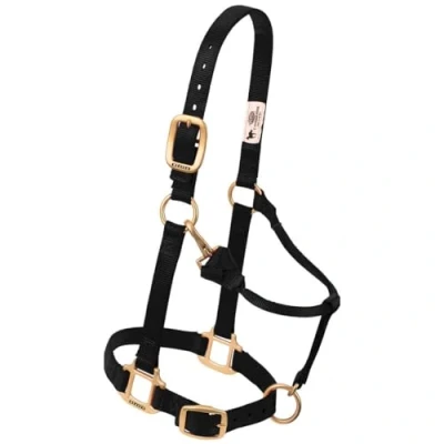 Afbeelding van Weaver Leather 35 7035 BK 1&quot; ADJ Blk Snap Halter, Zwart