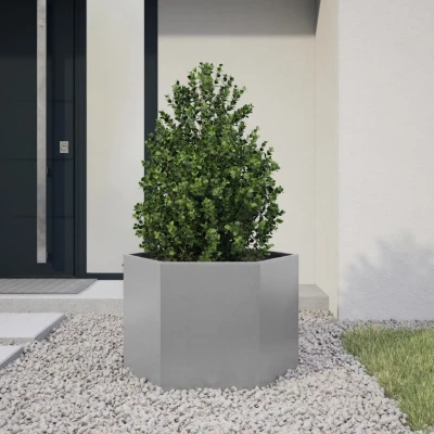Afbeelding van Plantenbak zeshoek 69x60x45 cm gegalvaniseerd staal
