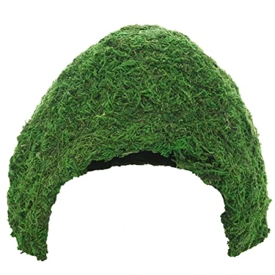 Afbeelding van Hobby 34604 Jungle Cave 3, 243 g.