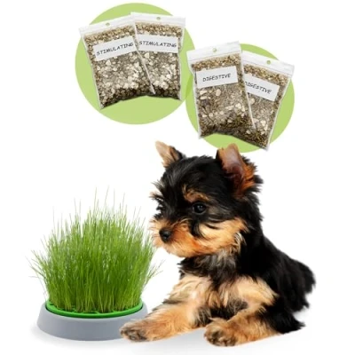 Afbeelding van R&amp;R SHOP Double Seeds hondengrasset kiempot, 2 soorten hondengras, stimulerend en spijsverteringssysteem, 4 zakjes zaden substraat, geschikt voor alle honden