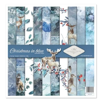 Afbeelding van ITD Collection scrapbooking pakket, papier, decoratief decoupage, kaarten maken, papierformaat 310 x 320 mm (SLS 019 HS code 48025890)