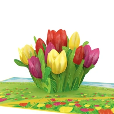 Afbeelding van papercrush® Pop upkaart kleurrijke tulpen 3D lentekaart, bloemkaart voor vriendin, vrouw en mama (verjaardagskaart, beterschap, bedank) wenskaart met bloemen verjaardag in de lente