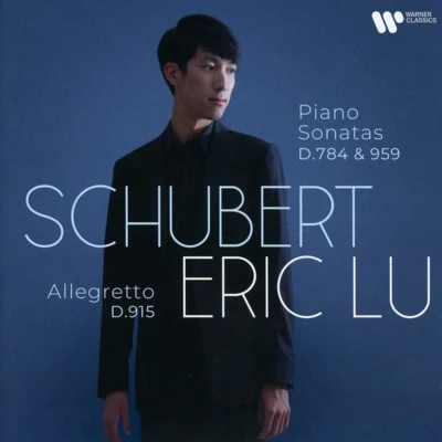 Afbeelding van Schubert: Piano Sonatas, D784 &amp; 959/Allegretto, D915