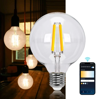 Afbeelding van Aigostar 10YHZ LED lamp E27 Dimbaar Smart Filament Licht G95 WiFi Bluetooth Appbesturing 6W 2700 6500K Set van 2 stuks