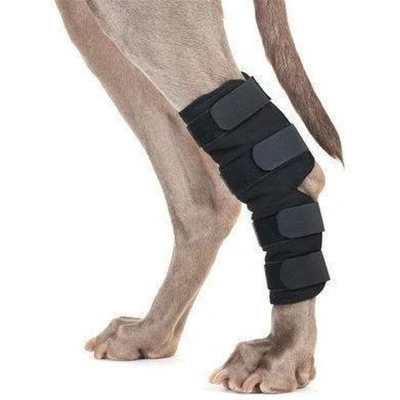 Afbeelding van Back on Track Hakbeschermer Hond Klitteband Zwart L