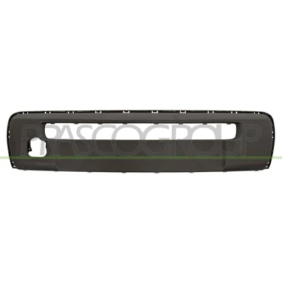 Afbeelding van Sier / beschermingspaneel, bumper PRASCO CI2061245