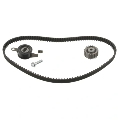 Afbeelding van Swag Distributieriem kit 50 02 0025