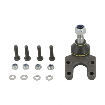 Afbeelding van Moog Fuseekogel NI BJ 10930