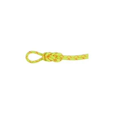 Afbeelding van Mammut 9.5 Alpine Core Protect Dry Rope met araminde mantel 60 meter