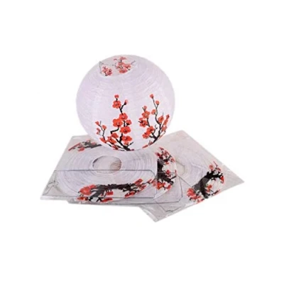 Afbeelding van Lampions in bolvorm, 4 stuks, Prunier 25 Rouge