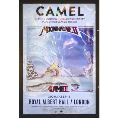 Afbeelding van Live at the Royal Albert Hall (DVD)