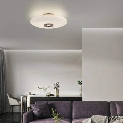Afbeelding van Paul Neuhaus Design plafondlamp Pure Vitrum bruin 6083 34