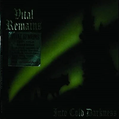 Afbeelding van Into Cold Darkness