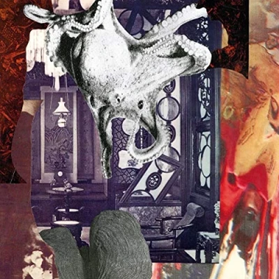 Afbeelding van Signal Echoes (Single)