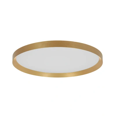 Afbeelding van Flady Plafondlamp d:40cm LED 2700k goud dimbaar Modern Steinhauer