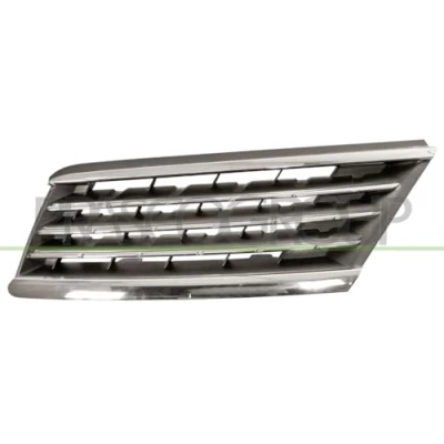 Afbeelding van Radiateurgrille PRASCO DS4602004