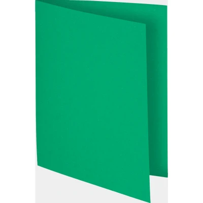 Afbeelding van VOUWMAP EXACOMPTA FLASH 100 stuks GROEN