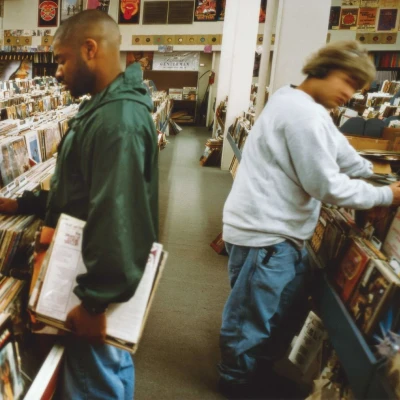 Afbeelding van Endtroducing 20Th Annivers