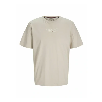 Afbeelding van Jack &amp; Jones Premium Jprbluarchie Tshirt print, Heren, Maat: Large, Moonbeam