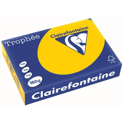 Afbeelding van Clairefontaine Trophée Intens, Gekleurd Papier, A4, 160 G, 250 Vel, Zonnebloemgeel Papier
