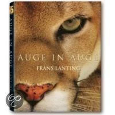 Afbeelding van Lanting Auge In