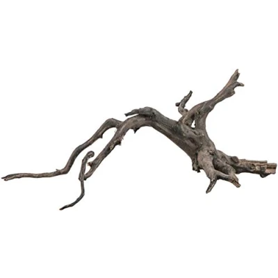 Afbeelding van Sera Filigrane wortel Scaper Root S 25 30 cm