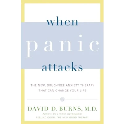 Afbeelding van When Panic Attacks: The New, Drug Free Anxiety Therapy That Can Change Your Life