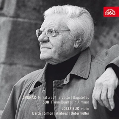 Afbeelding van Josef Suk Miniatures/Bagatelles/Terzetto/Piano Quartet (CD)