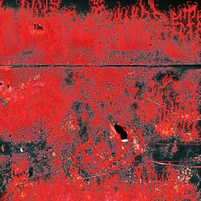 Afbeelding van Concrete Winds (LP)