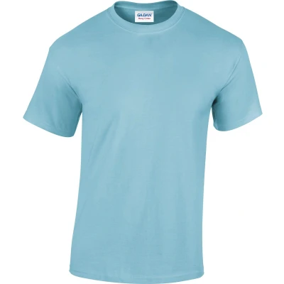 Afbeelding van Fruit of the Loom Girls Valueweight T Heather Green 152 (12 13)
