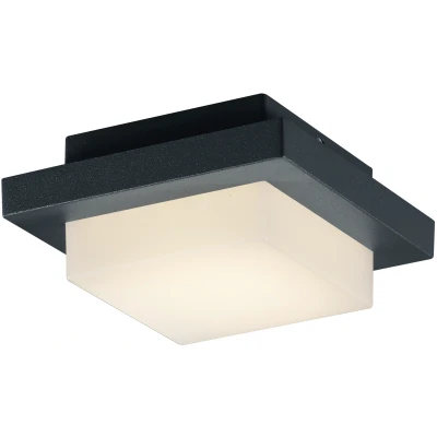 Afbeelding van TRIO HONDO Wandlamp Antraciet incl. 1x SMD 3,5W Buitenverlichting IP54
