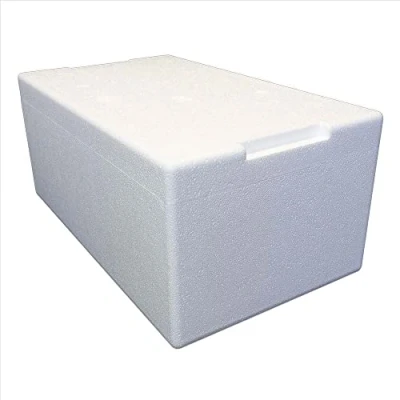 Afbeelding van Styrofoam box/thermobox 22,0 liter 55 x 32 24 cm/wanddikte 3 cm styrobox