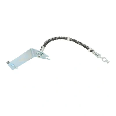 Afbeelding van Delphi Diesel Remslang LH0407