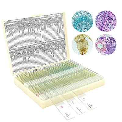 Afbeelding van 120 microscoopglaasjes met specimens, geprepareerde