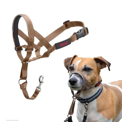 Afbeelding van Company of Animals Halti Halster, om te voorkomen dat je hond aan de riem trekt. Verstelbaar, reflecterend en licht, met gevoerde neusband, Desert Sand, 1