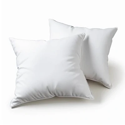 Afbeelding van Kussen 60x60 Opvulkussens 2 stuks Interne decoratieve zachte vierkanten met kussenslopen van microvezel Hypoallergeen Anti mijt Woninginrichting Woonkamer Bed
