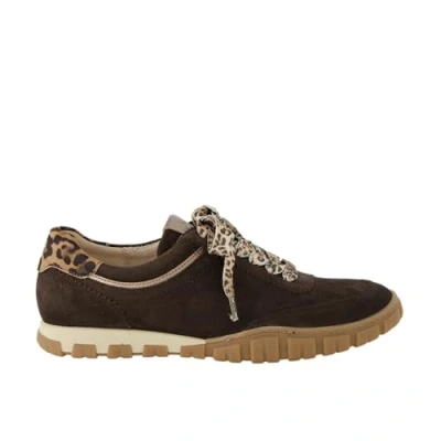 Afbeelding van Paul Green Sneakers laag, Dames, Maat: 41, Dark brown Schoenen