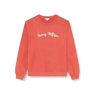 Afbeelding van Tommy Hilfiger Curve Script Sweater, Dames, Maat: 46, Terra red