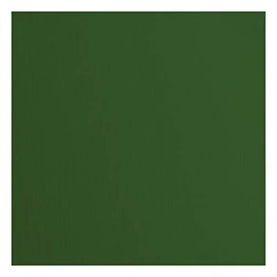 Afbeelding van Florence Gekleurd karton, textuur, 30,5 x cm, pine voor scrapbooking, kaarten knutselen, stansen en andere papieren knutselwerk