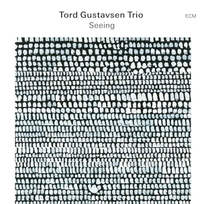 Afbeelding van Tord Gustavsen Trio Seeing (CD)