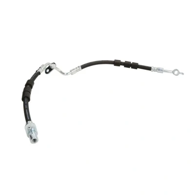 Afbeelding van Delphi Diesel Remslang LH7128