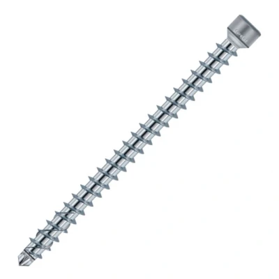 Afbeelding van Voldraad constructieschroeven 8x220 verzinkt 50 stuks