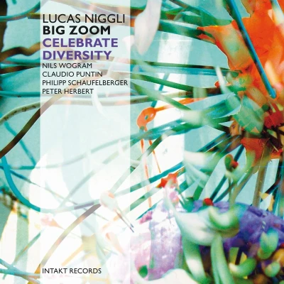 Afbeelding van Lucas Niggli Big Zoom Celebrate Diversity (CD)