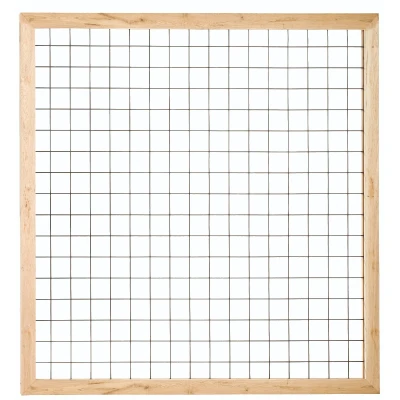 Afbeelding van Intergard Tuinscherm trellis vuren 180x180cm