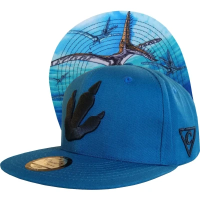 Afbeelding van Capiche Snapback Baseballone SIZE Pet, Heren, Maat: One Size, blue black