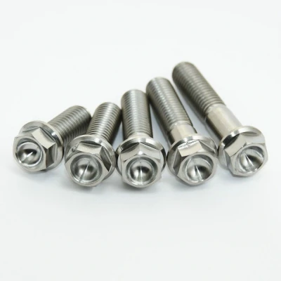 Afbeelding van Scar Titanium Bouten M6x40 (per 2 stuks)