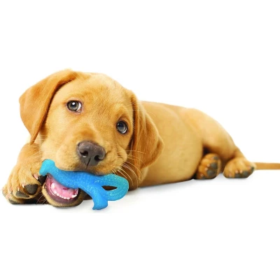 Afbeelding van Nylabone flexi voor honden puppy dental dinosaur chicken tot 11 kg