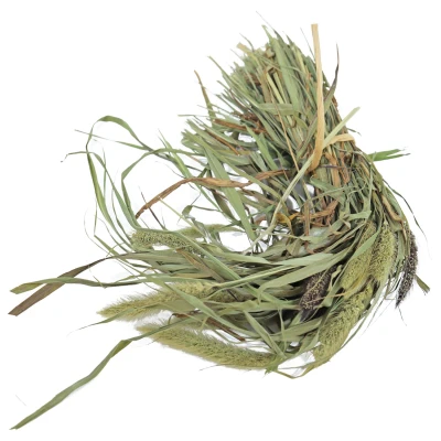 Afbeelding van Jr Farm Senegal Gierst Vogelvoer 5 x 13 33 cm 50 g
